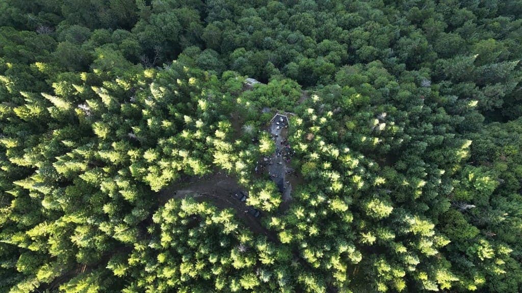 Site du festival en plein air, entouré de forêt